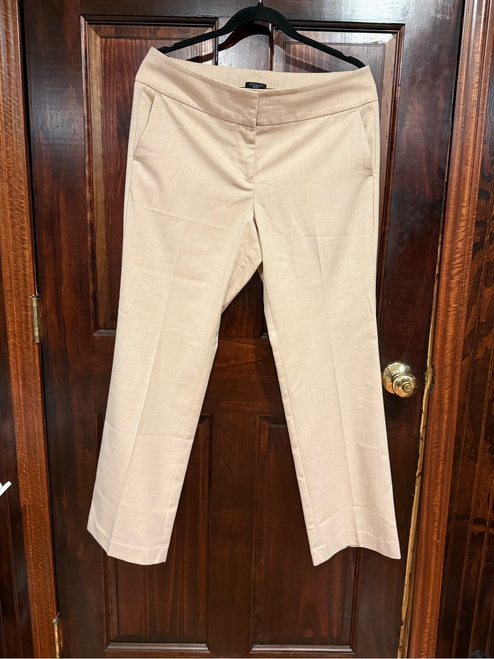 Ann Taylor Factory Light Beige Womens Dress Trousers